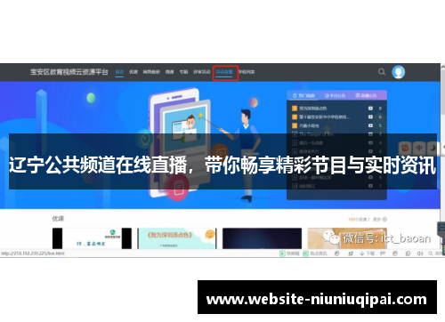 辽宁公共频道在线直播，带你畅享精彩节目与实时资讯