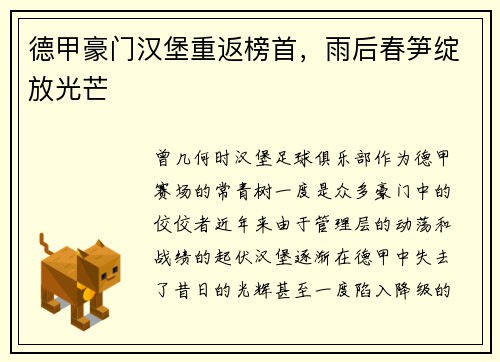 德甲豪门汉堡重返榜首，雨后春笋绽放光芒